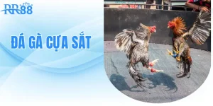da-ga-cua-sat