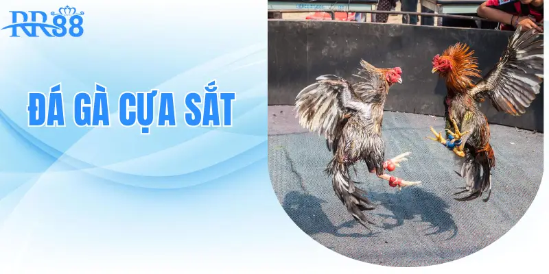 da-ga-cua-sat