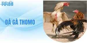 da-ga-thomo