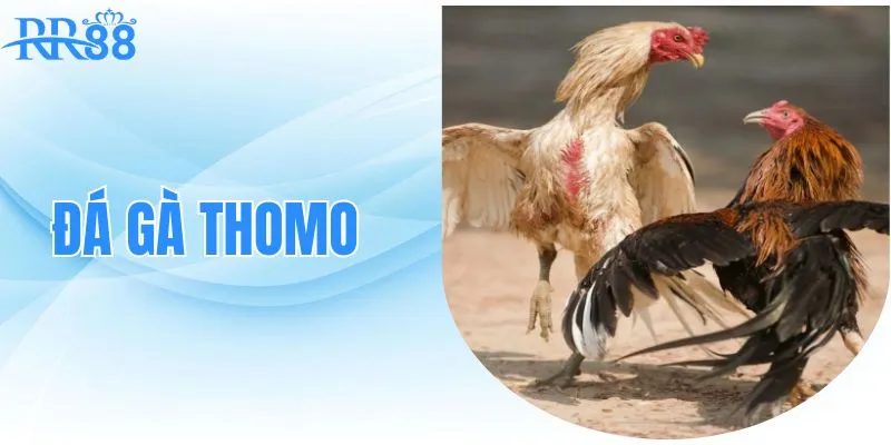 da-ga-thomo