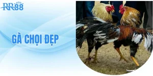 ga-choi-dep