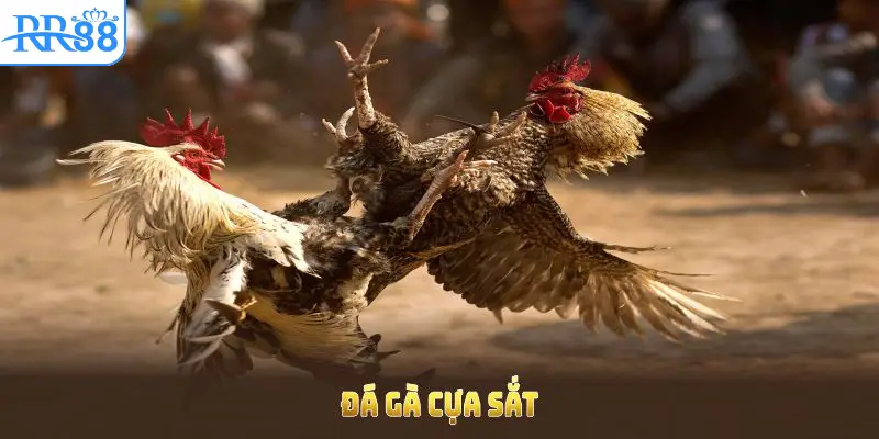 giai-ma-cac-thuat-ngu-pho-bien-trong-da-ga-cua-sat