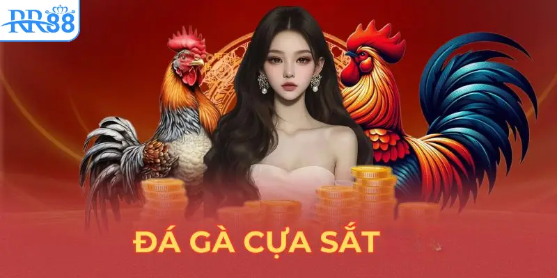 luat-choi-da-ga-cua-sat-tai-rr88-ma-ban-can-biet